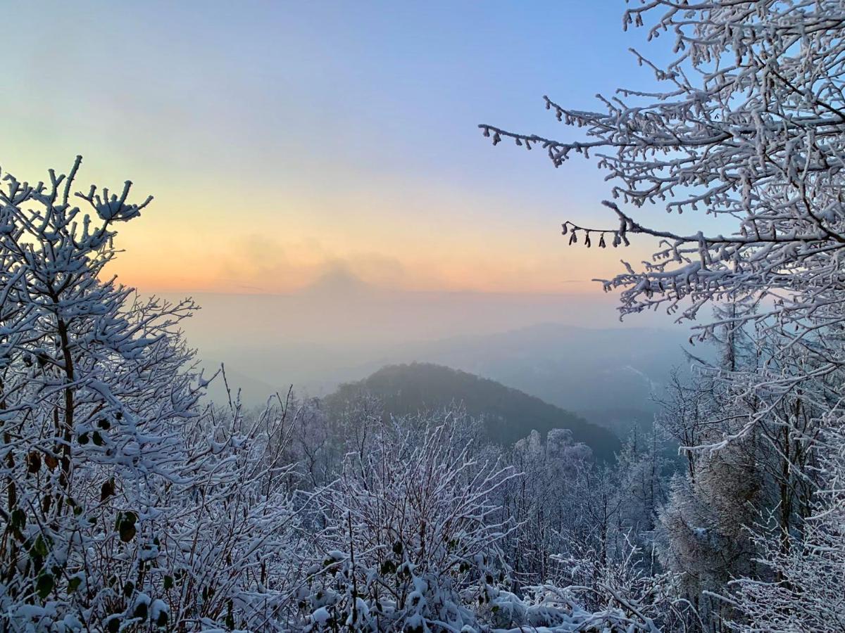 Harz Hotel Und Gaestehaus Am Bornweg Bad Sachsa Dış mekan fotoğraf